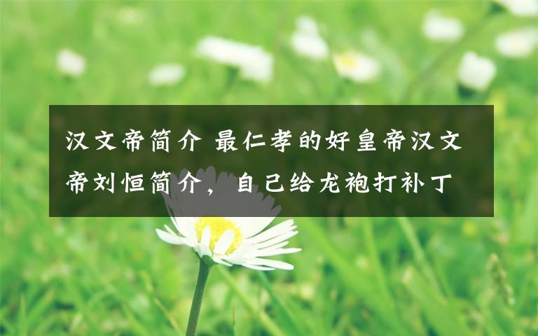 汉文帝简介 最仁孝的好皇帝汉文帝刘恒简介,自己给龙袍打补丁