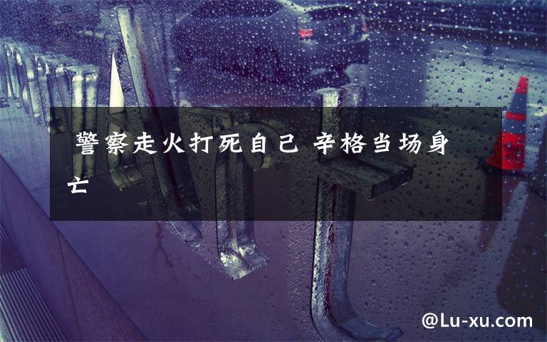 警察走火打死自己 辛格当场身亡