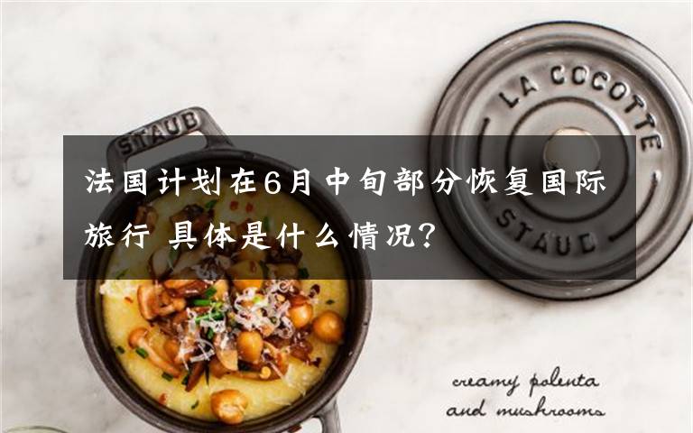 法国计划在6月中旬部分恢复国际旅行 具体是什么情况?