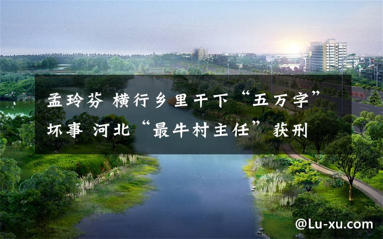 孟玲芬 横行乡里干下“五万字”坏事 河北“最牛村主任”获刑