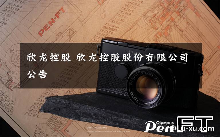 欣龙控股 欣龙控股股份有限公司公告