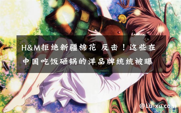 H&M拒绝新疆棉花 反击!这些在中国吃饭砸锅的洋品牌统统被曝光