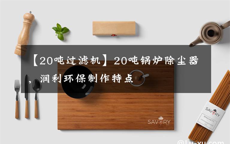 【20吨过滤机】20吨锅炉除尘器,润利环保制作特点