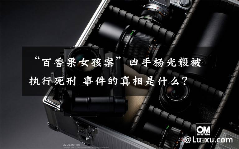 “百香果女孩案”凶手杨光毅被执行死刑 事件的真相是什么?