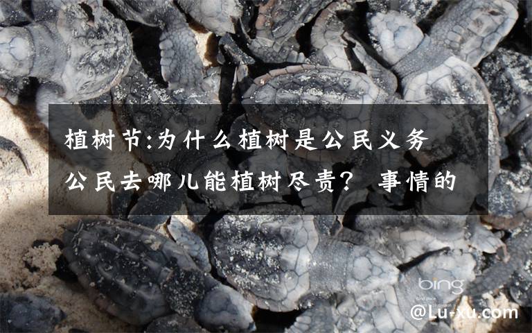 植树节:为什么植树是公民义务 公民去哪儿能植树尽责? 事情的详情始末是怎么样了!