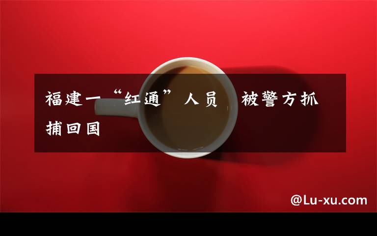 福建一“红通”人员 被警方抓捕回国