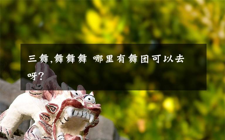 三舞,舞舞舞 哪里有舞团可以去呀?