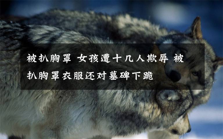 被扒胸罩 女孩遭十几人欺辱 被扒胸罩衣服还对墓碑下跪