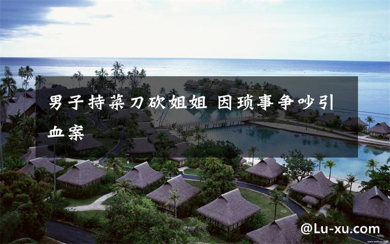 男子持菜刀砍姐姐 因琐事争吵引血案