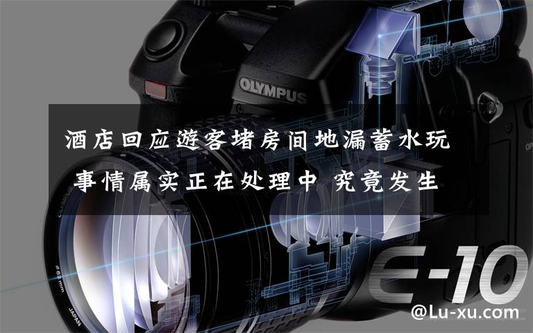 酒店回应游客堵房间地漏蓄水玩 事情属实正在处理中 究竟发生了什么?
