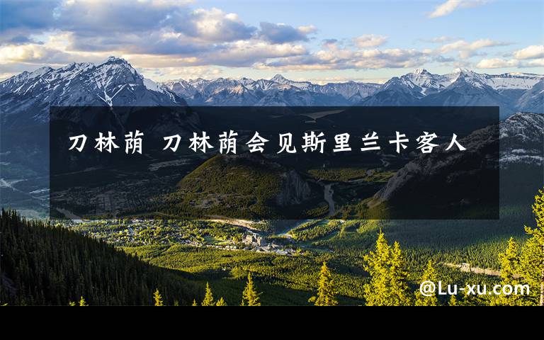 刀林荫 刀林荫会见斯里兰卡客人