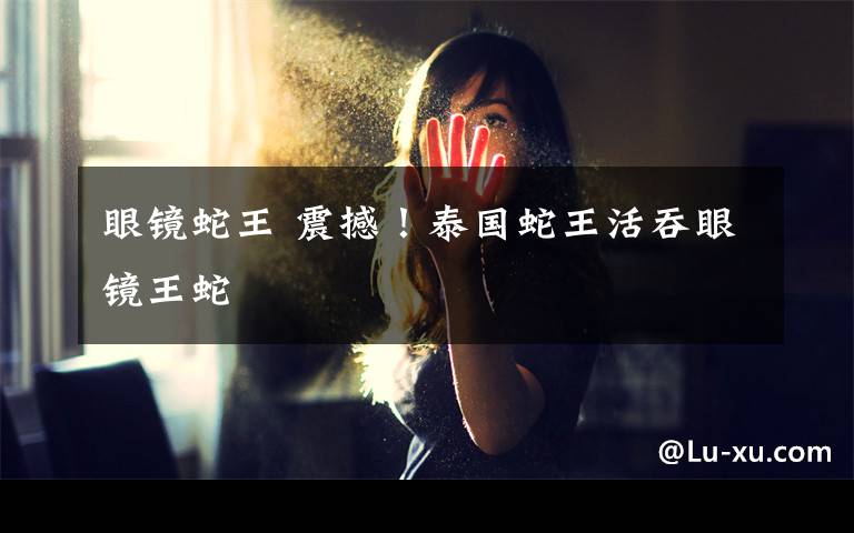 眼镜蛇王 震撼！泰国蛇王活吞眼镜王蛇