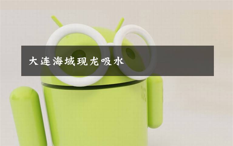 大连海域现龙吸水