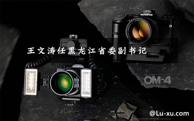  王文涛任黑龙江省委副书记