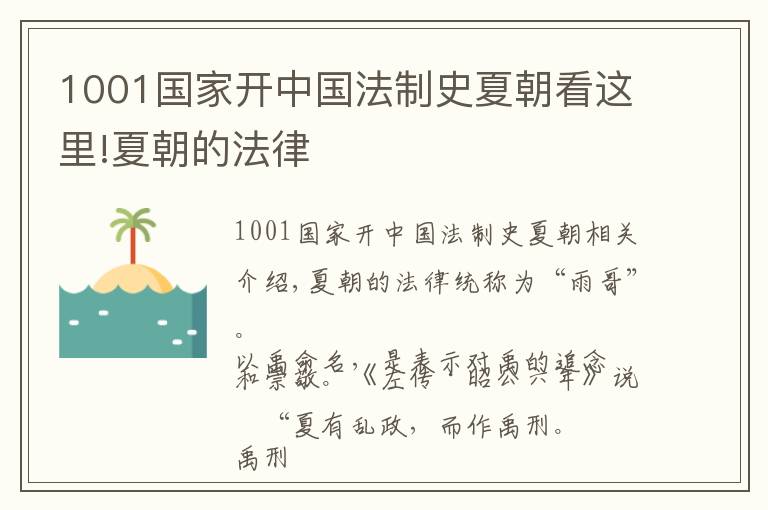 1001国家开中国法制史夏朝看这里!夏朝的法律