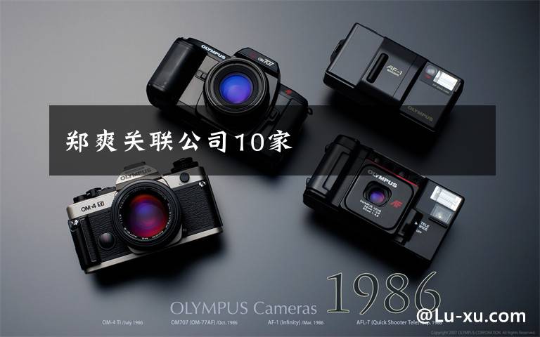 郑爽关联公司10家