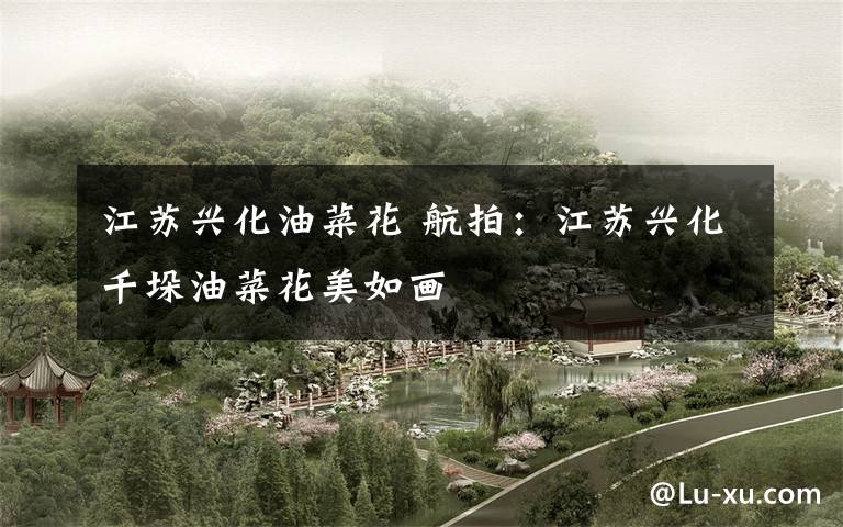 江苏兴化油菜花 航拍:江苏兴化千垛油菜花美如画