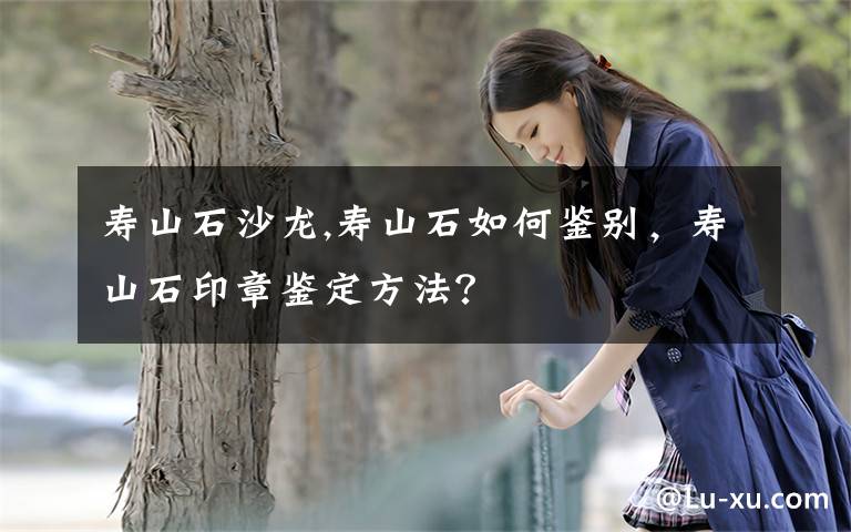 寿山石沙龙,寿山石如何鉴别,寿山石印章鉴定方法?