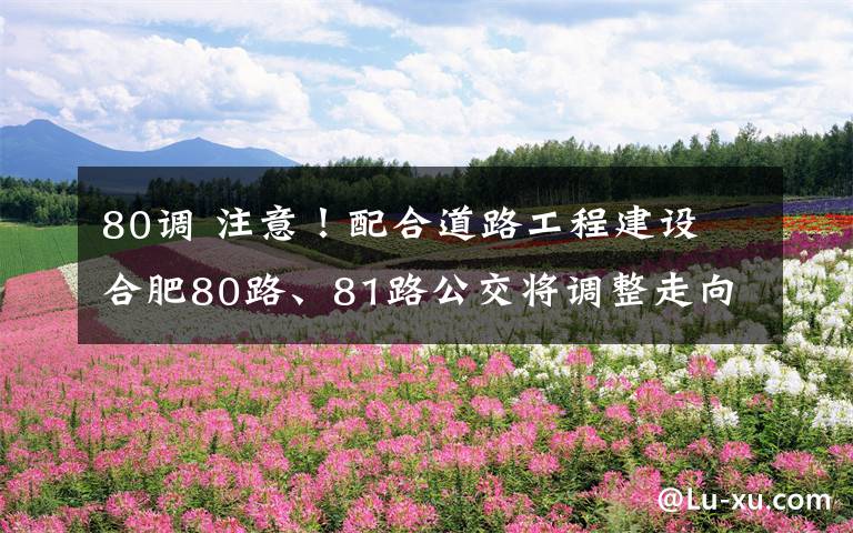 80调 注意!配合道路工程建设 合肥80路、81路公交将调整走向