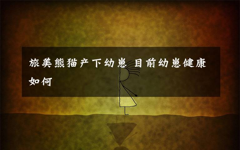 旅美熊猫产下幼崽 目前幼崽健康如何