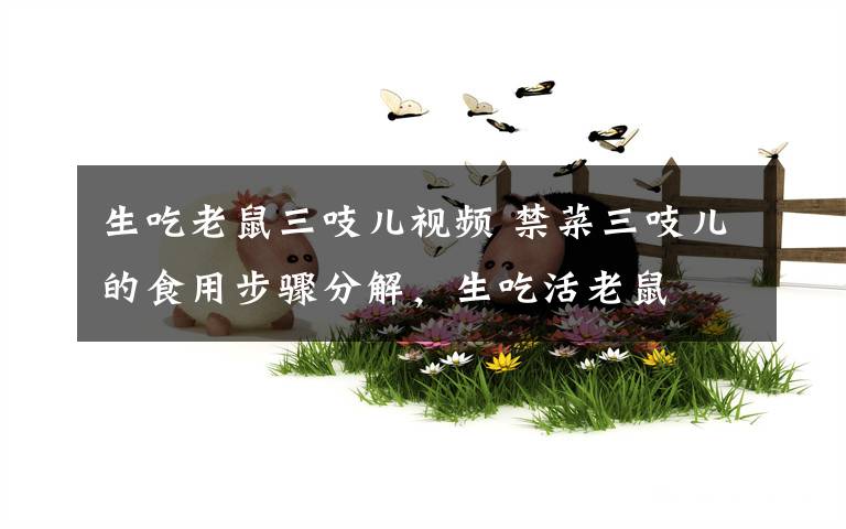 生吃老鼠三吱儿视频 禁菜三吱儿的食用步骤分解,生吃活老鼠