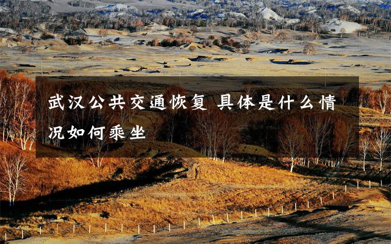 武汉公共交通恢复 具体是什么情况如何乘坐