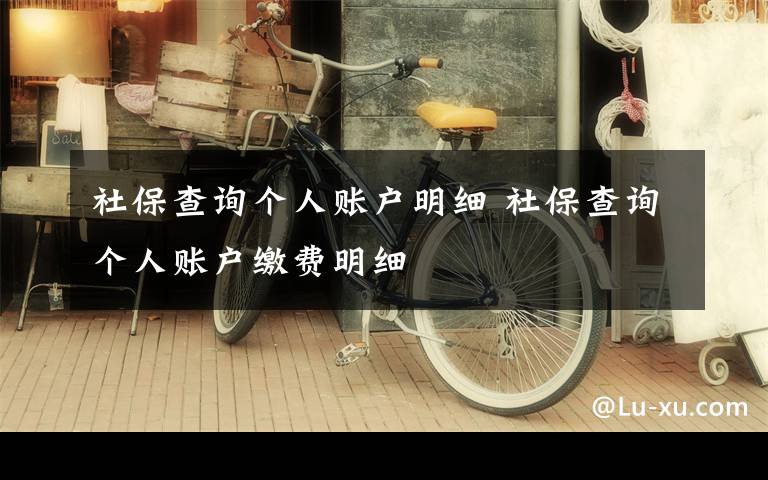 社保查询个人账户明细 社保查询个人账户缴费明细