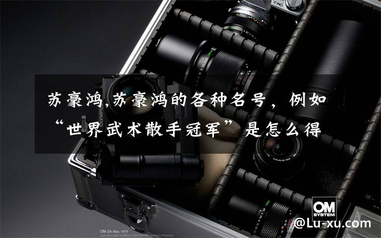 苏豪鸿,苏豪鸿的各种名号,例如“世界武术散手冠军”是怎么得来的?因为总不能自封吧;要是打过,肯定会有痕迹吧?