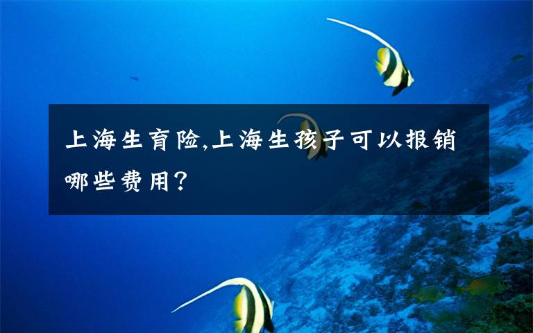 上海生育险,上海生孩子可以报销哪些费用？