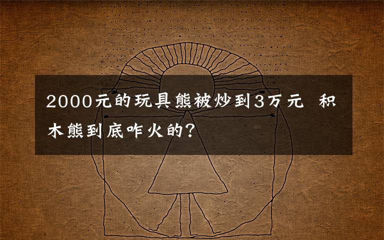 2000元的玩具熊被炒到3万元  积木熊到底咋火的?