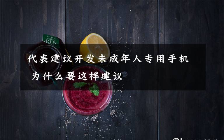 代表建议开发未成年人专用手机 为什么要这样建议