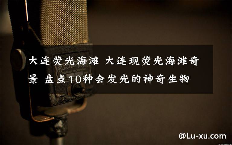大连荧光海滩 大连现荧光海滩奇景 盘点10种会发光的神奇生物