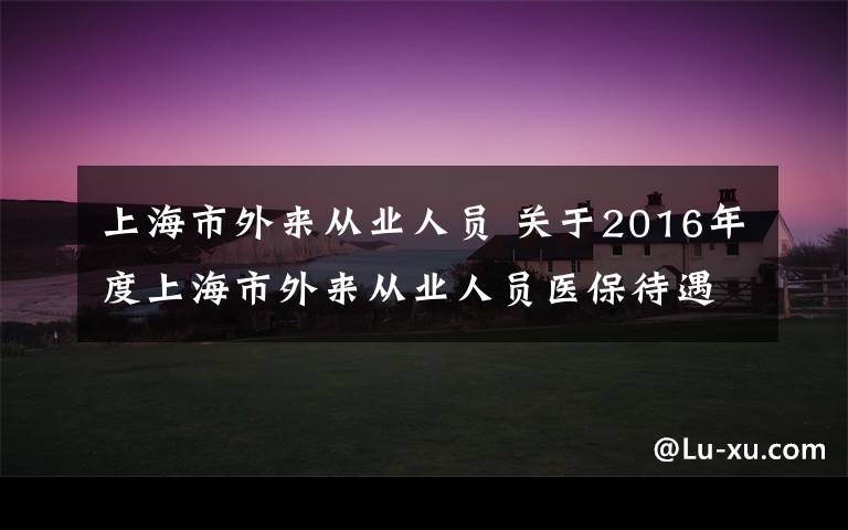 上海市外来从业人员 关于2016年度上海市外来从业人员医保待遇衔接问题的通知