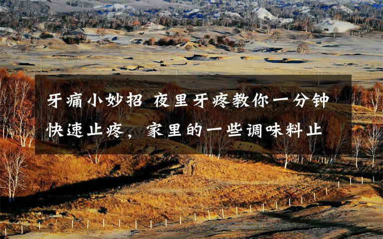 牙痛小妙招 夜里牙疼教你一分钟快速止疼,家里的一些调味料止痛有奇效