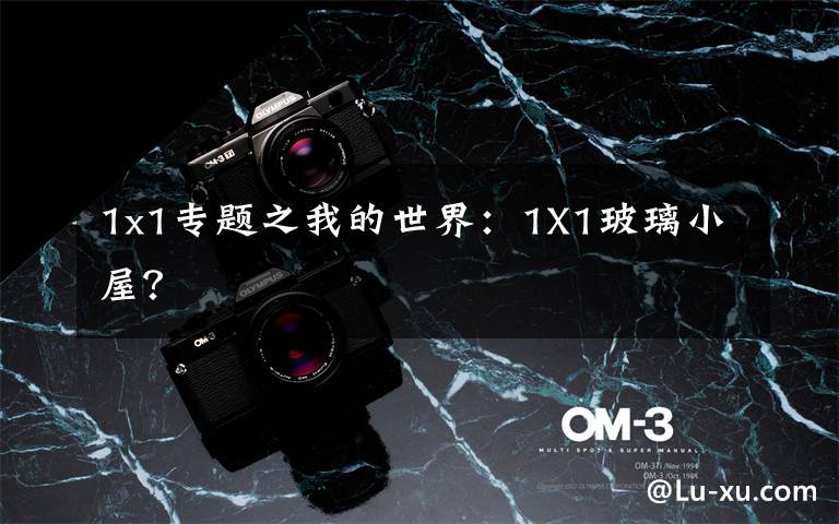 1x1专题之我的世界：1X1玻璃小屋？