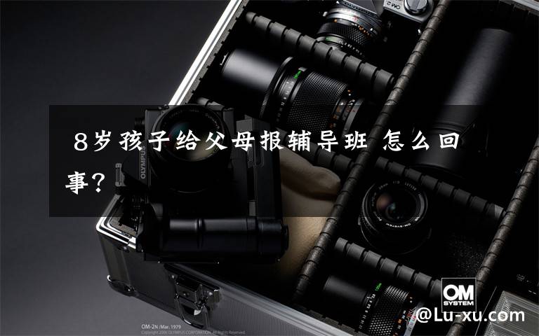 8岁孩子给父母报辅导班 怎么回事?