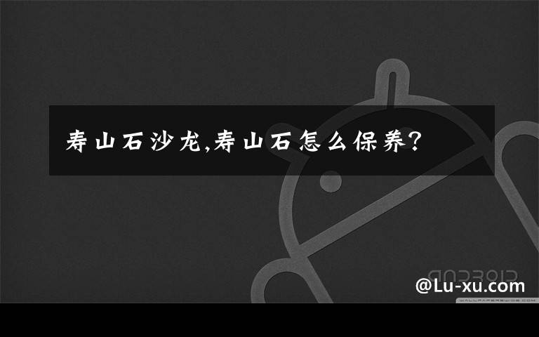 寿山石沙龙,寿山石怎么保养？