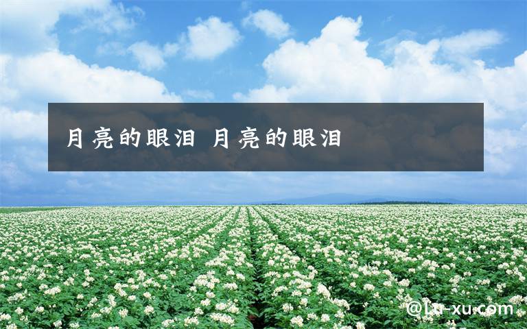 月亮的眼泪 月亮的眼泪