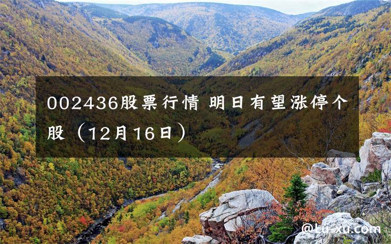 002436股票行情 明日有望涨停个股(12月16日)