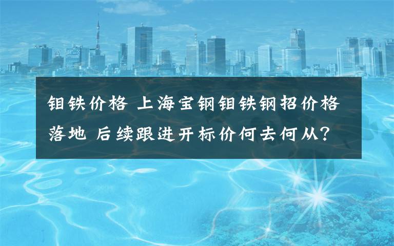 钼铁价格 上海宝钢钼铁钢招价格落地 后续跟进开标价何去何从？