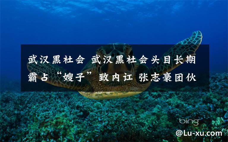 武汉黑社会 武汉黑社会头目长期霸占“嫂子”致内讧 张志豪团伙覆灭