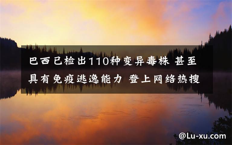 巴西已检出110种变异毒株 甚至具有免疫逃逸能力 登上网络热搜了!