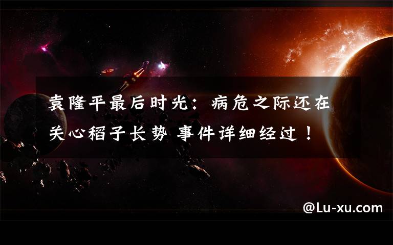 袁隆平最后时光：病危之际还在关心稻子长势 事件详细经过！