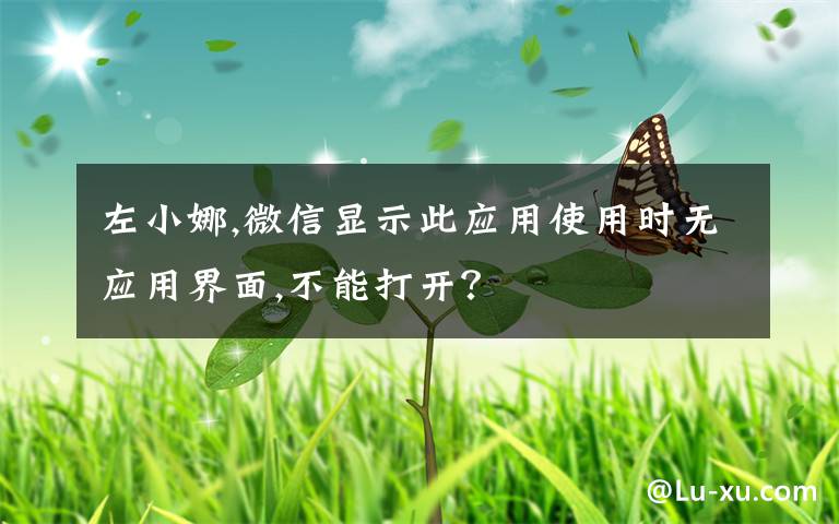 左小娜,微信显示此应用使用时无应用界面,不能打开?