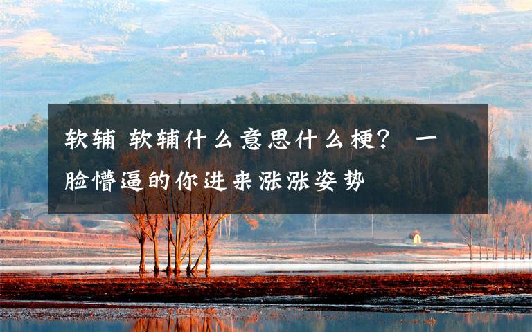 软辅 软辅什么意思什么梗? 一脸懵逼的你进来涨涨姿势