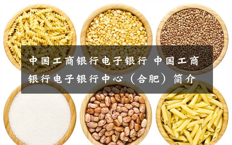 中国工商银行电子银行 中国工商银行电子银行中心(合肥)简介