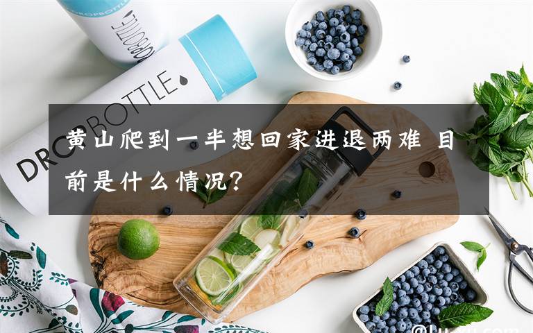 黄山爬到一半想回家进退两难 目前是什么情况?