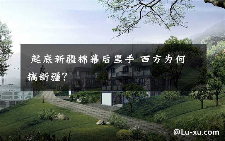 起底新疆棉幕后黑手 西方为何搞新疆?