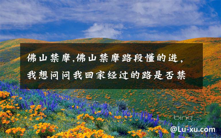 佛山禁摩,佛山禁摩路段懂的进,我想问问我回家经过的路是否禁摩。