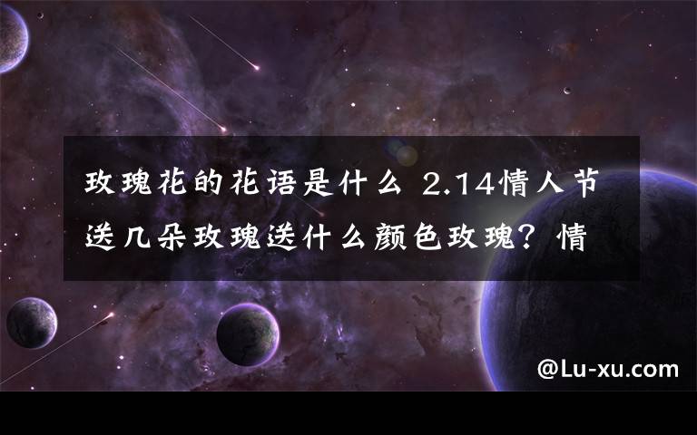 玫瑰花的花语是什么 2.14情人节送几朵玫瑰送什么颜色玫瑰?情人节送玫瑰花的花语大全